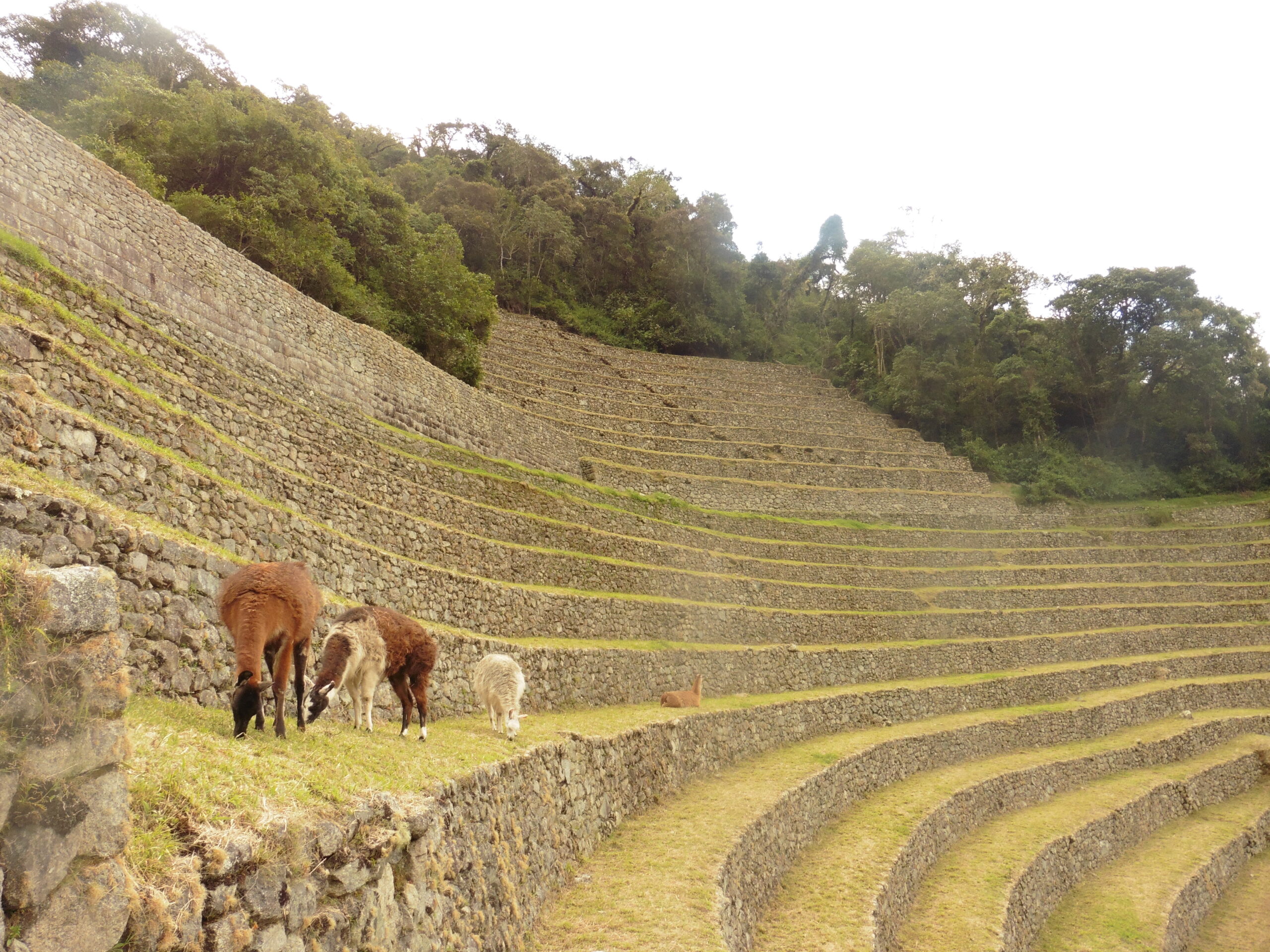Patrimonio Agrícola Andino